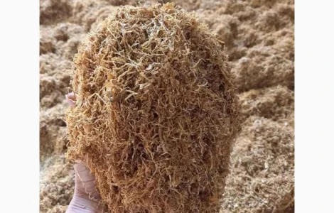 Табачок для куріння. хорошої якості