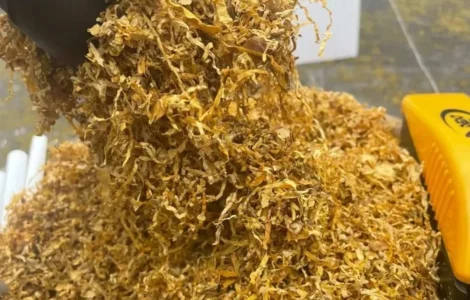 Хороший табак завжди свіжий