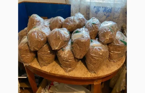 Свежий табак Вирджиния средняя – натуральный продукт