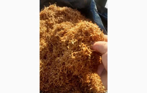 Продам табак домашний