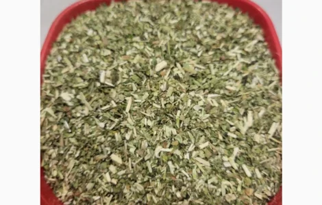 Махорка домашня зелена