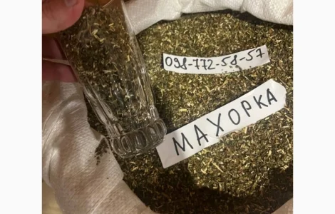 Куплю табак: махорка