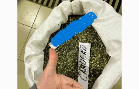 Куплю махорку стебло тютюнове