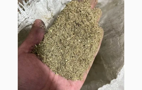 Шукаю махорку якісний тютюн