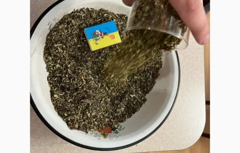 Ищем махорку для собственных нужд