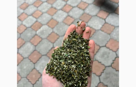 Покупаем махорочные листья