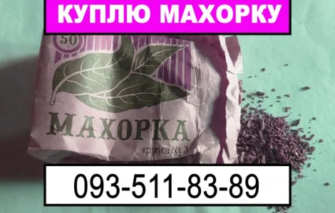 Махорка на закупку