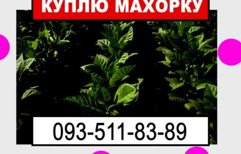 Махорка для нас