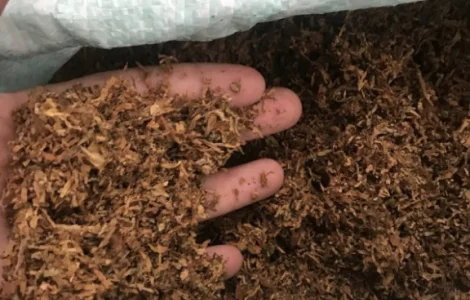 Продам табак хорошего качества