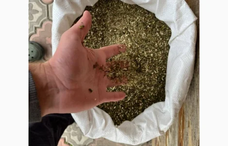 Махорка Самосад