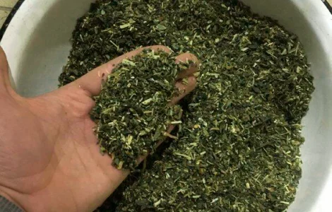 Махорка для тих