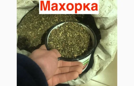Махорка 2025 року для справжніх цінителів
