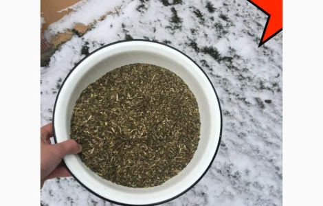 Вкусная и ароматная махорка 2025