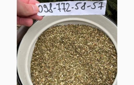 Продам махорку (самосад) Хорошего качества