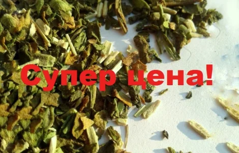 САМОСАД домашній МАХОРКА вищий сорт