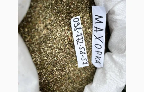 Продам Махорку(среднюю) отличного