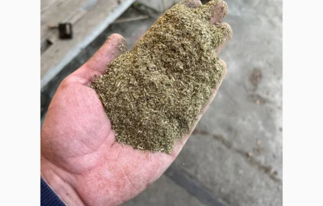 Махорка такая которую любят люди