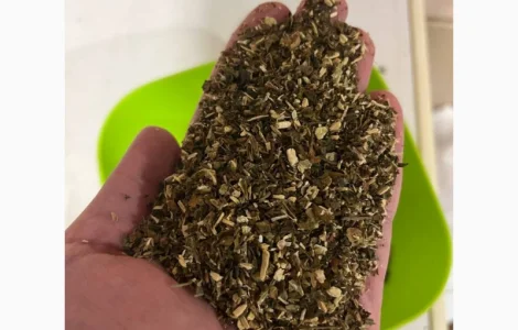 Самосадная махорка для настоящих гурманов