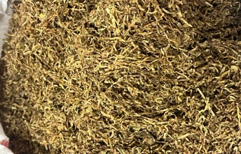 Продам табак/табак/гильзы по лучшим ценам