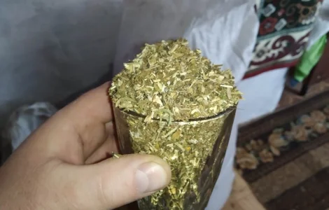 Табак свежий душистый Махорка домашний Самосад то что нада