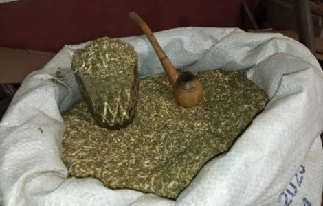 Курево домашнее самосад и табак резка лапшой
