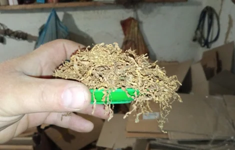 Хто хоче Табак домашній тому сюда ! Самосад сільський не вонючий