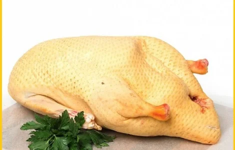 Мясо тушка мускусной утки