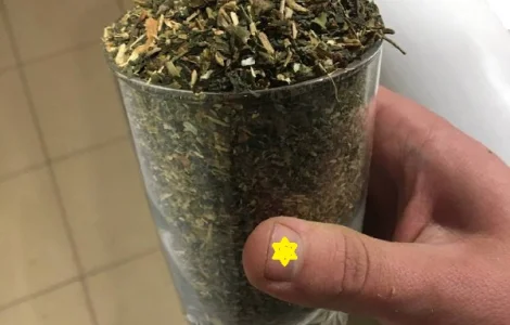 Махорка махорка домашняя махорка
