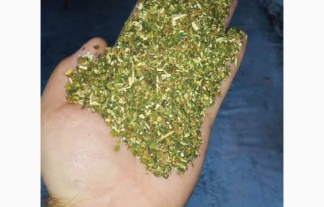 Тютюн домашній файний табачок самосад
