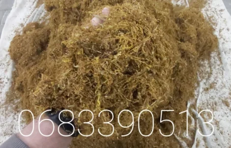 Тютюн Берлі – ціна 700 грн за 1 кг