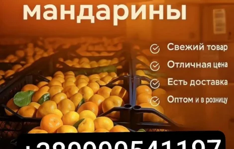 Продаются мандарины оптом