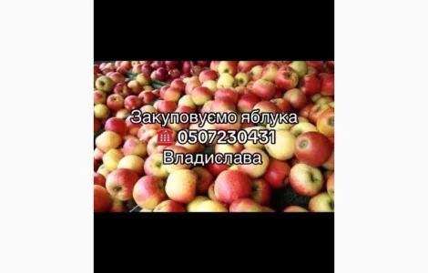 Закупаем яблоки от населения и оптовиков в большом объеме