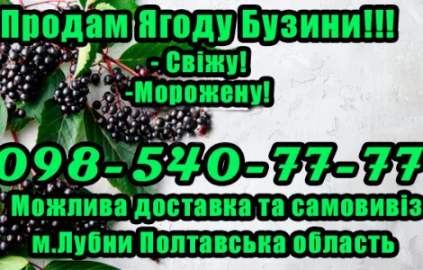 На постійній основі продаю ягоду бузини!Ціна ринкова