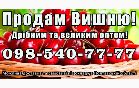 Реалізую вишню 2025року