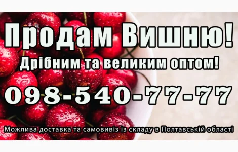 Продаю вишню 2025р.