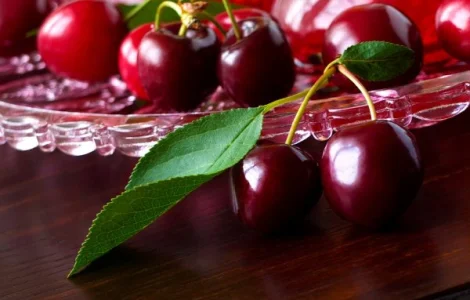 Підприємство здійснює заготовку вишні урожай 2025 року