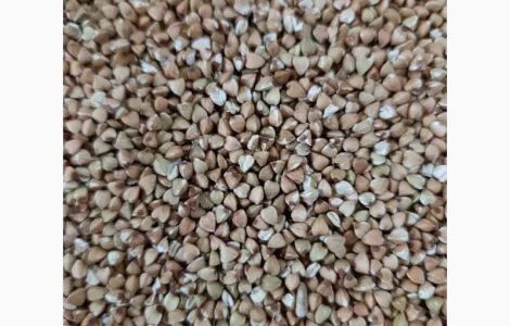 Продам гречку зеленую