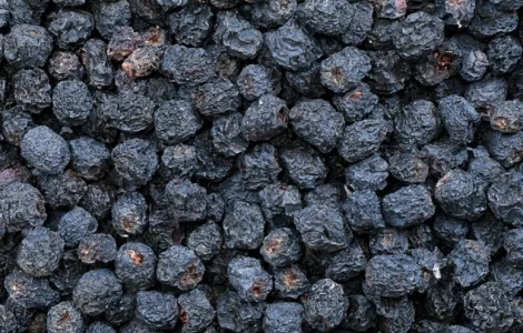 Продам сушену чорну горобину