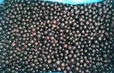 Куплю смородину заморожену 5 тонн