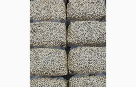 Продам фундук бланшированный и жареный