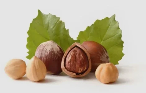 Продам Фундук Неочищений