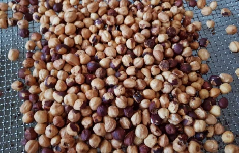 Фундук (13-15) Жарений Туреччина