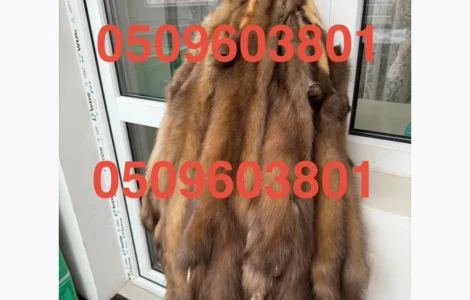 Куплю шкіри хутро куниці лисиці норки та інше