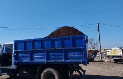 Продам сипець