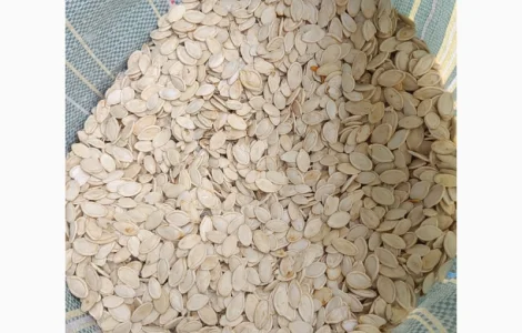 Продам гарбузове насіння