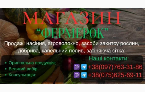 Продам насіння овочів