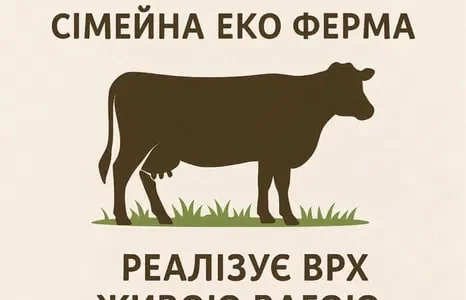 Продам быков живым весом