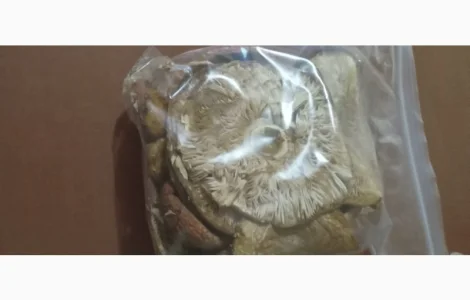 Красные сухие мухоморы