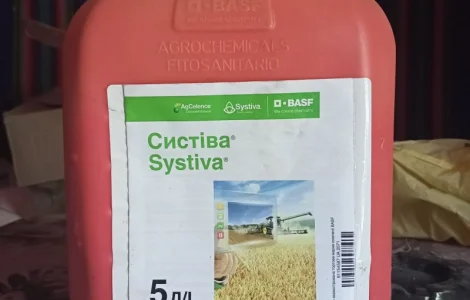Протравитель Систива 5л. BASF