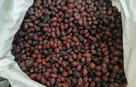 Продадим оптовые партии шиповника Органік
